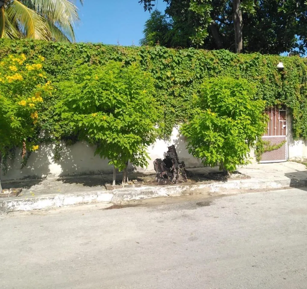 Bonita Casa A Dos Cuadras Del Mar Villa Playa del Carmen